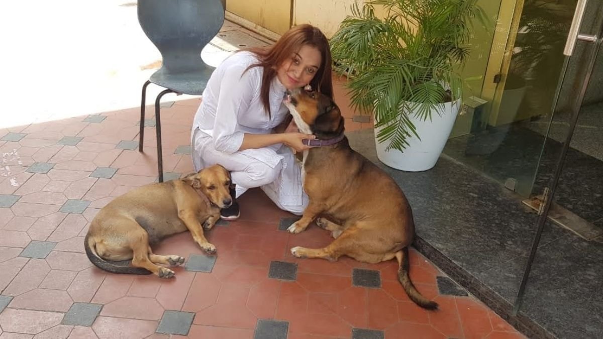 The dumb one is my life, the second home of the dumb dogs is Lucky Mishra’s house The dumb one is my life, the second home of the dumb dogs is Lucky Mishra’s house